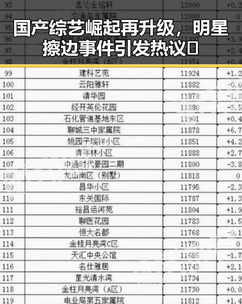 国产综艺崛起再升级，明星擦边事件引发热议🔥