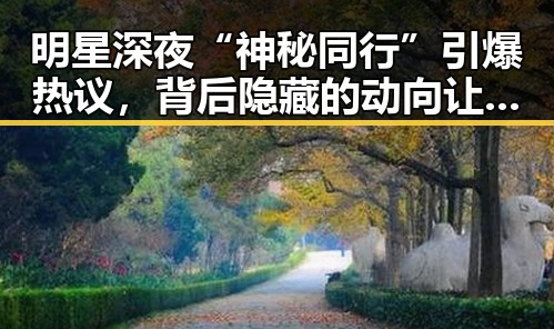 明星深夜“神秘同行”引爆热议,背后隐藏的动向让人猜不透🔍